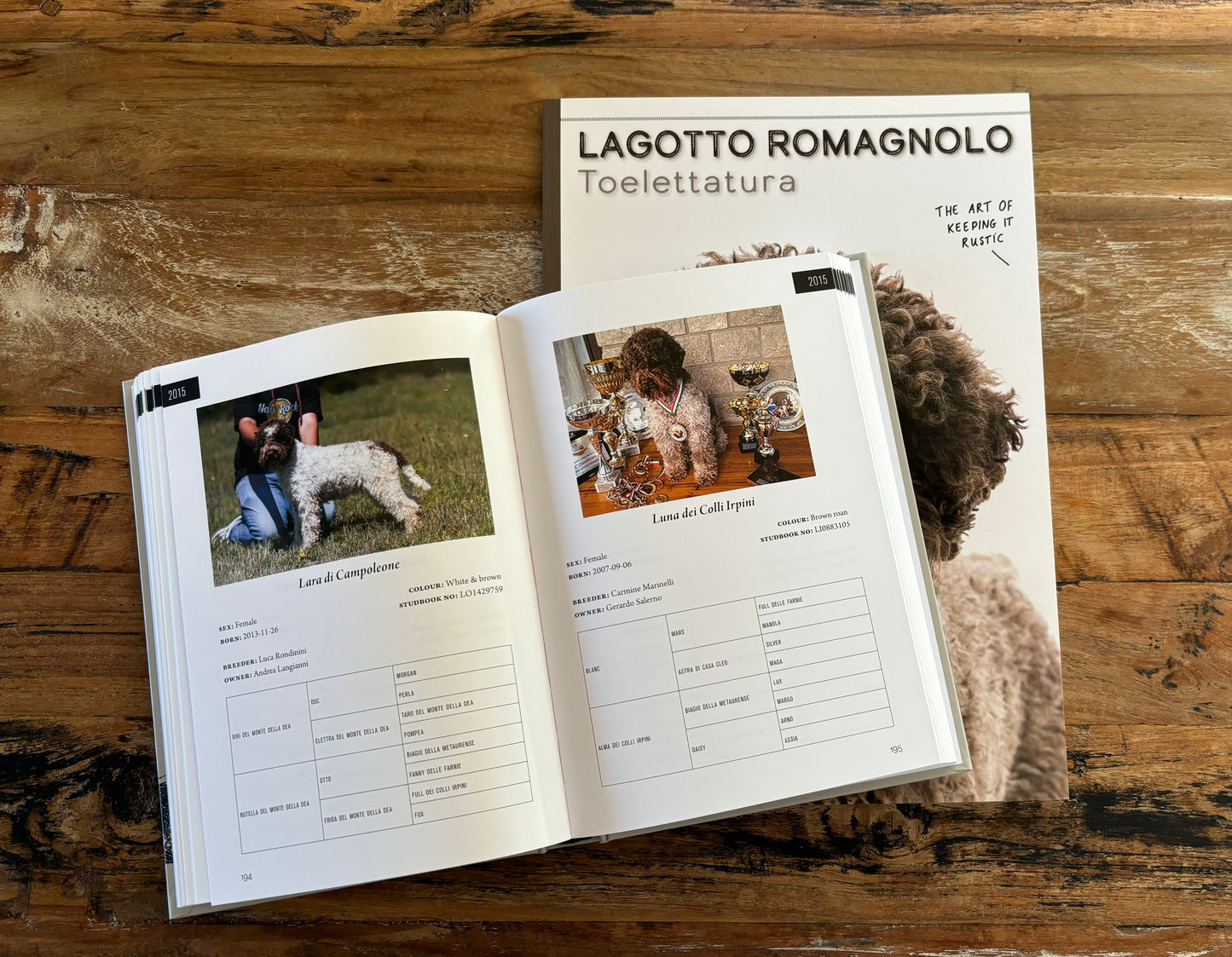 Package deal! gratis verzending
