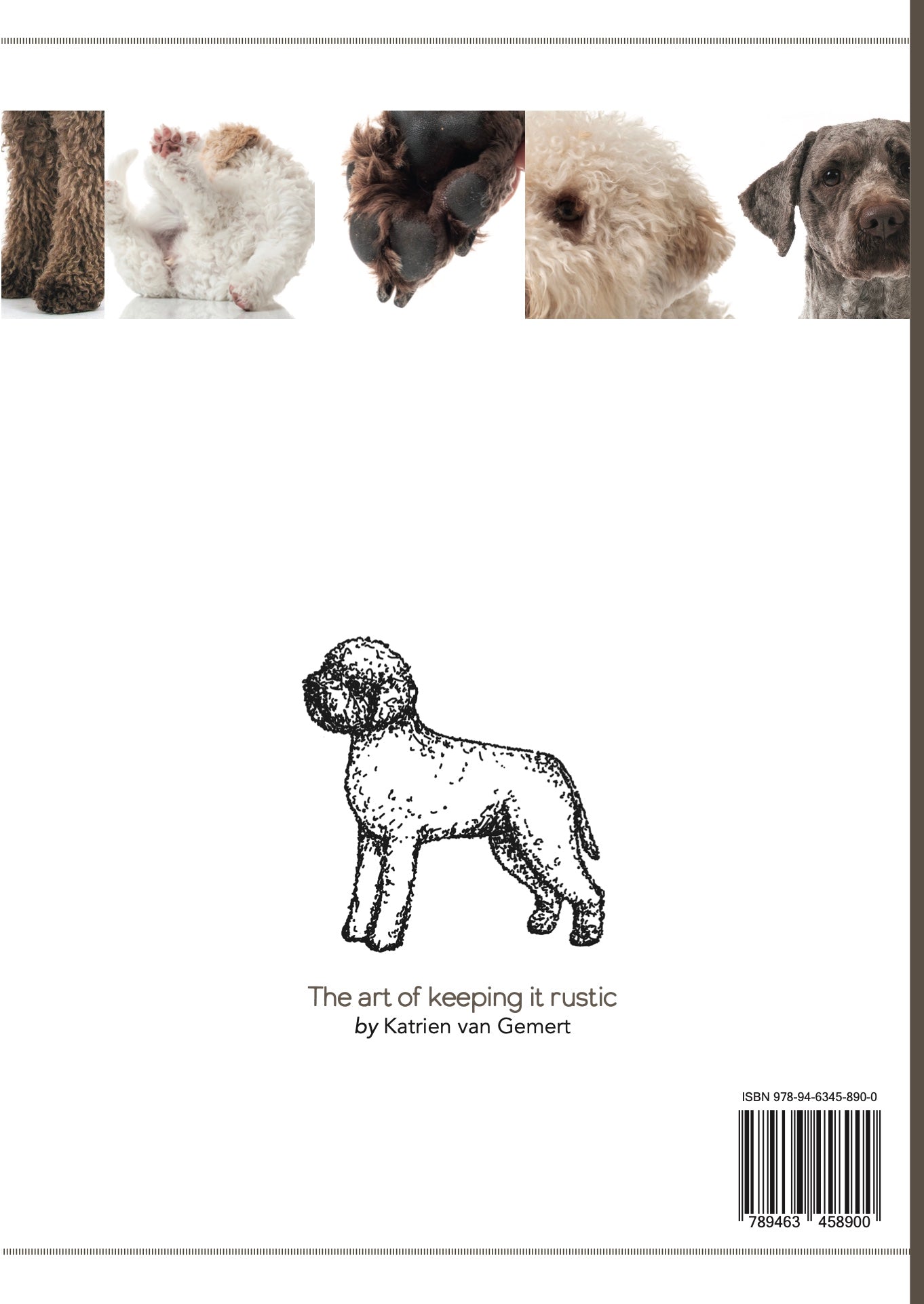 Lagotto grooming boek, in het Engels