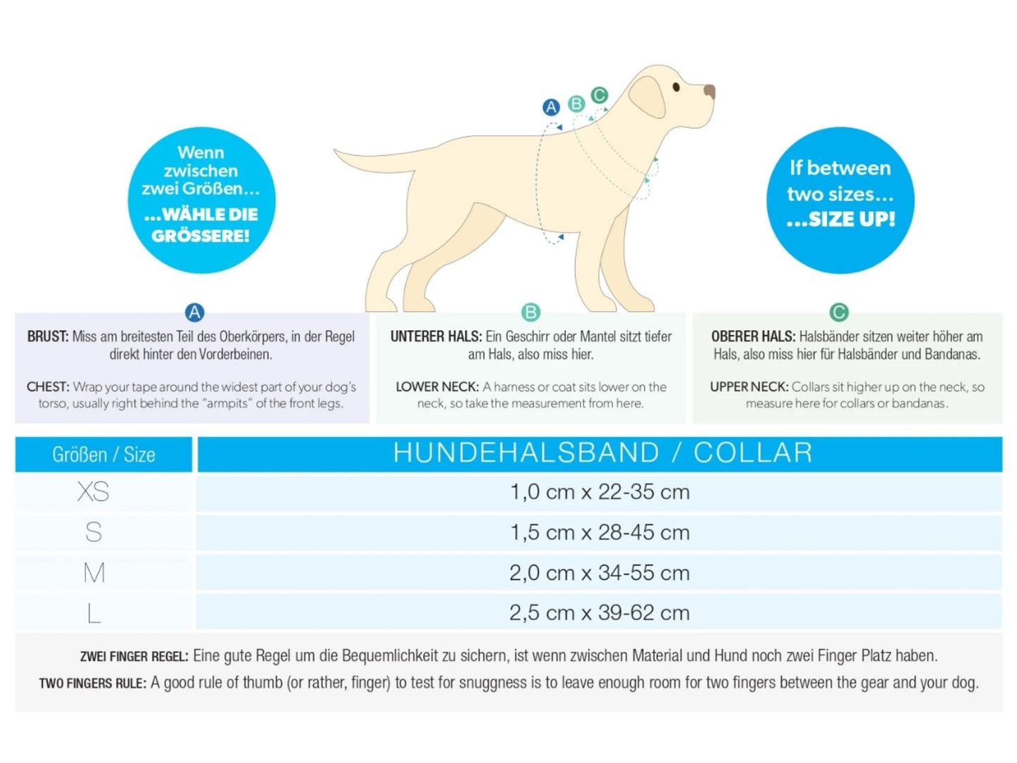 halsbandje en riempje popcorn complete set!