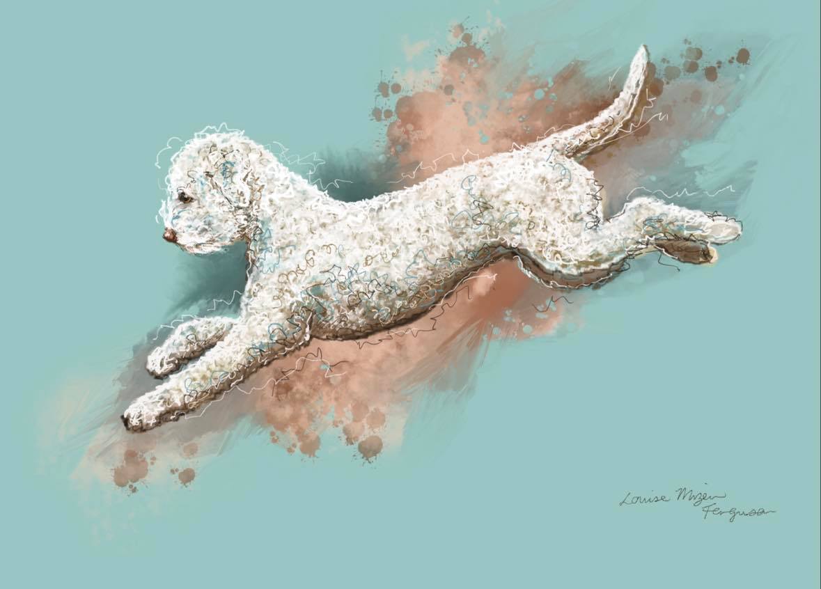 "Jump"