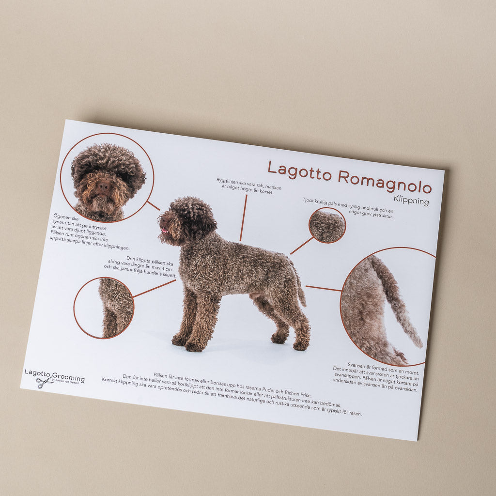 Lagotto trimkaart