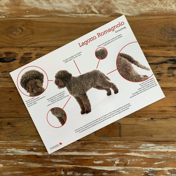 Lagotto trimkaart