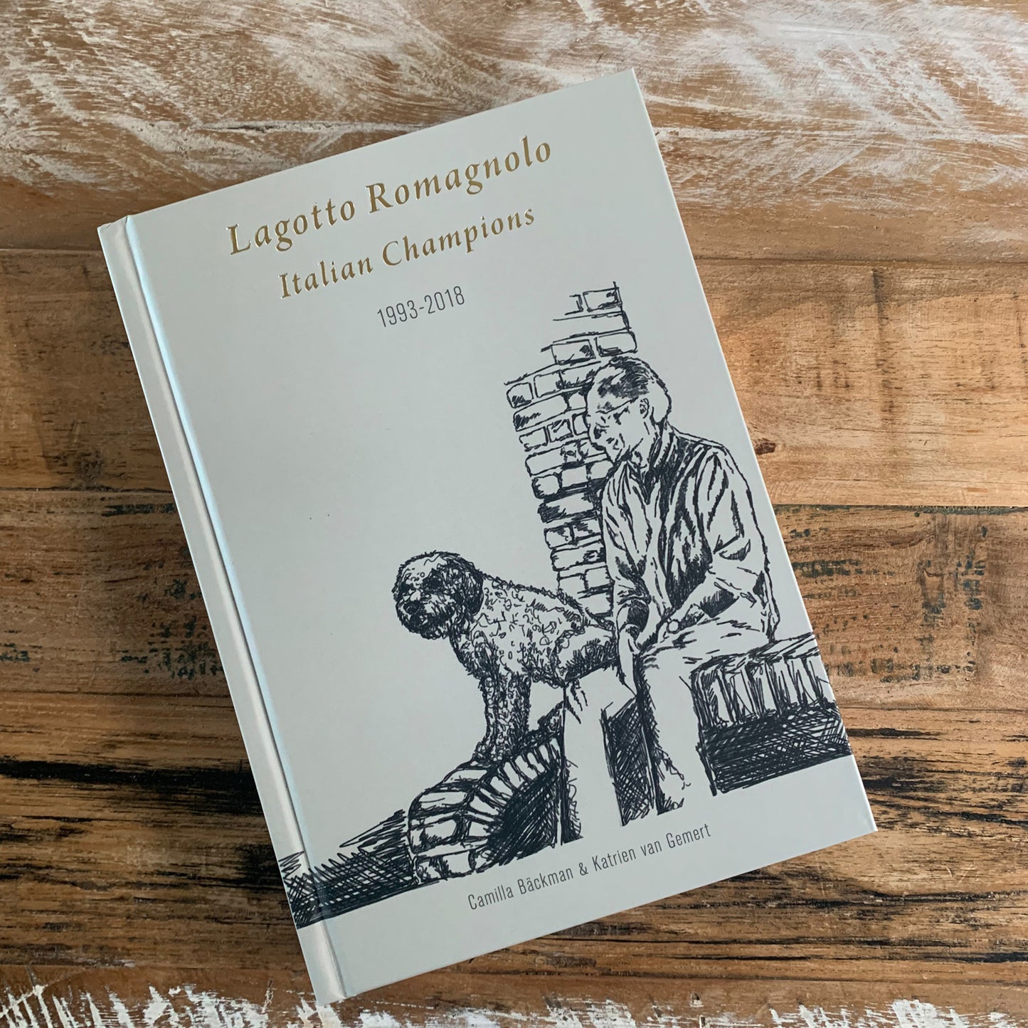 Boek Italiaanse kampioenen 1993 - 2018