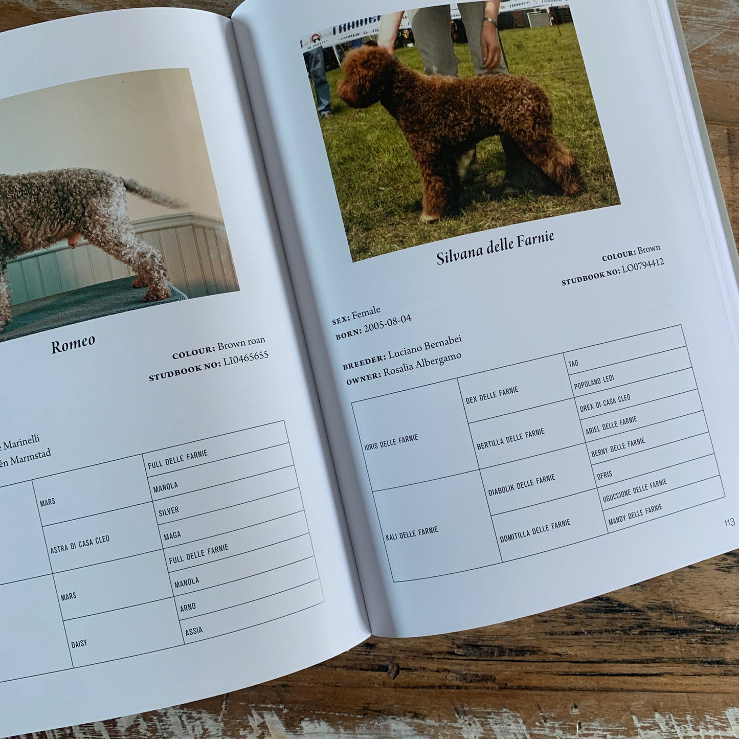 Boek Italiaanse kampioenen 1993 - 2018