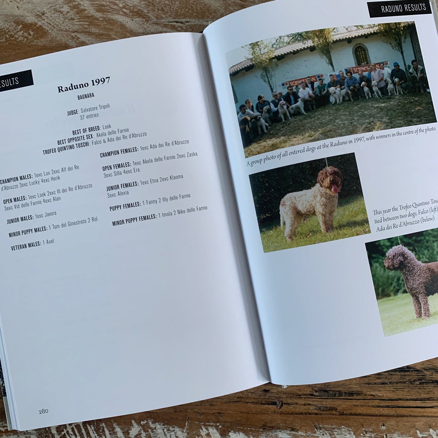 Boek Italiaanse kampioenen 1993 - 2018