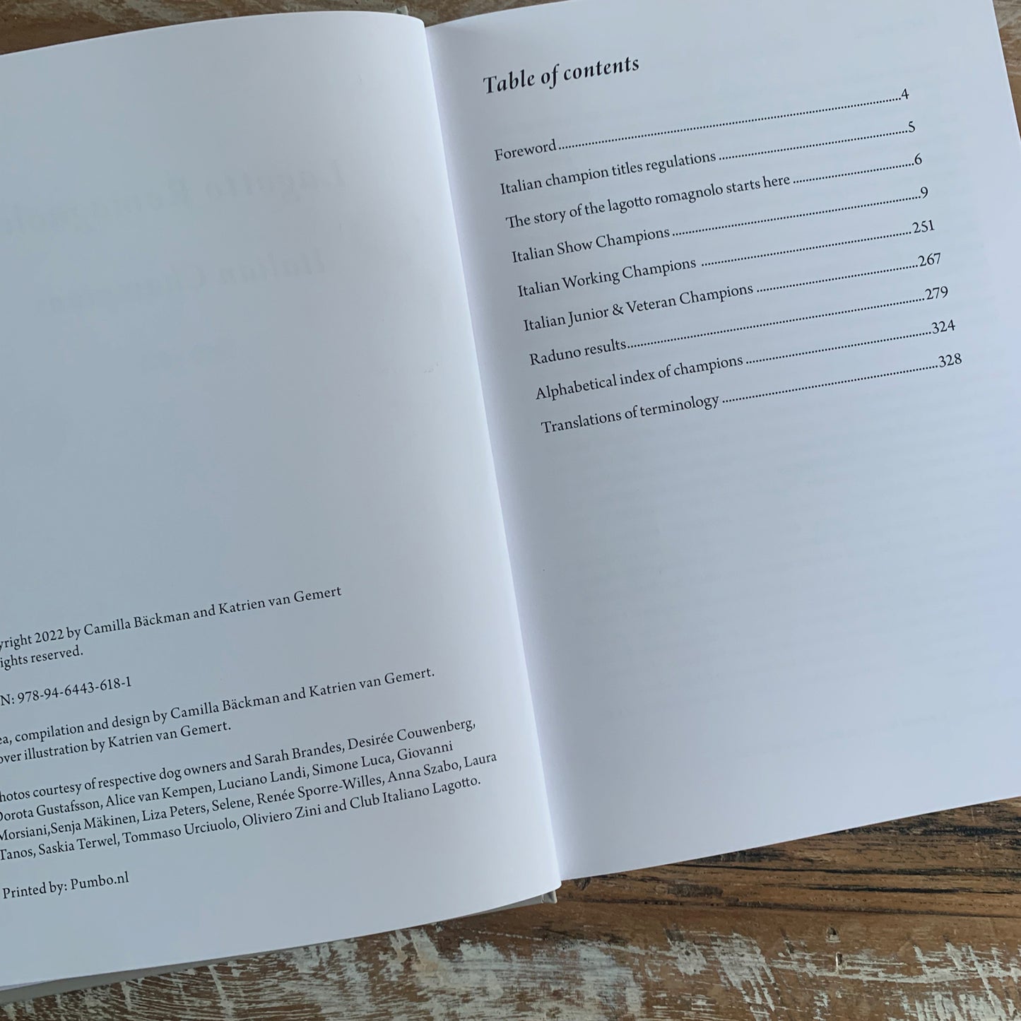 Boek Italiaanse kampioenen 1993 - 2018