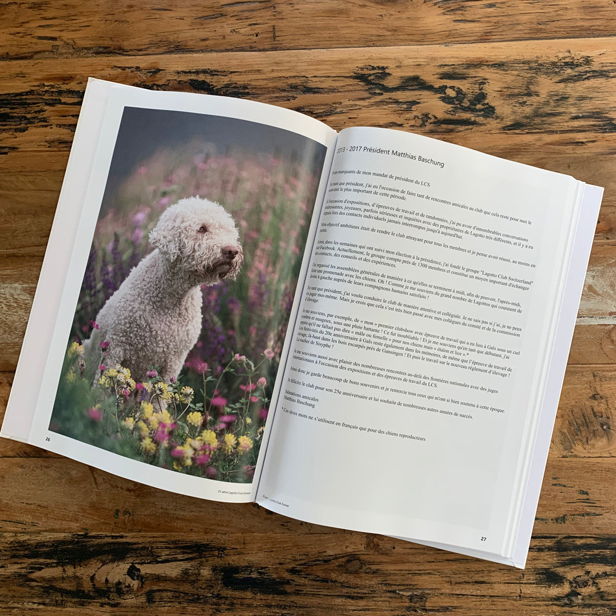 25 jaar Zwitserse lagotto club