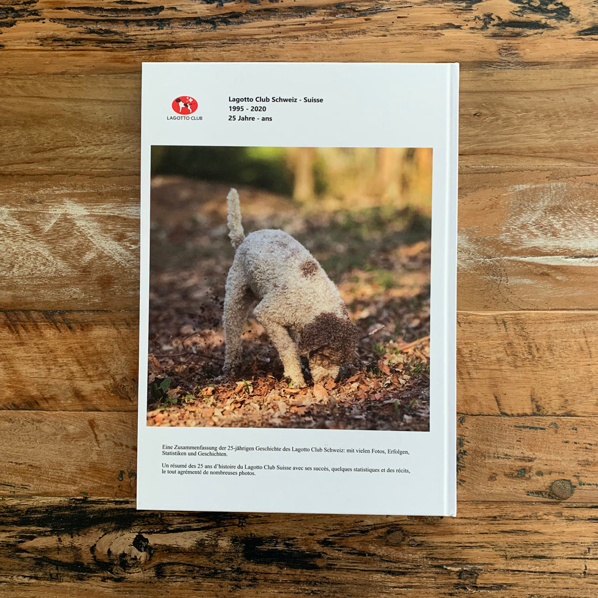 25 jaar Zwitserse lagotto club