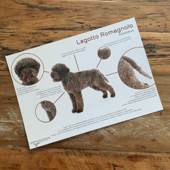 Lagotto trimkaart