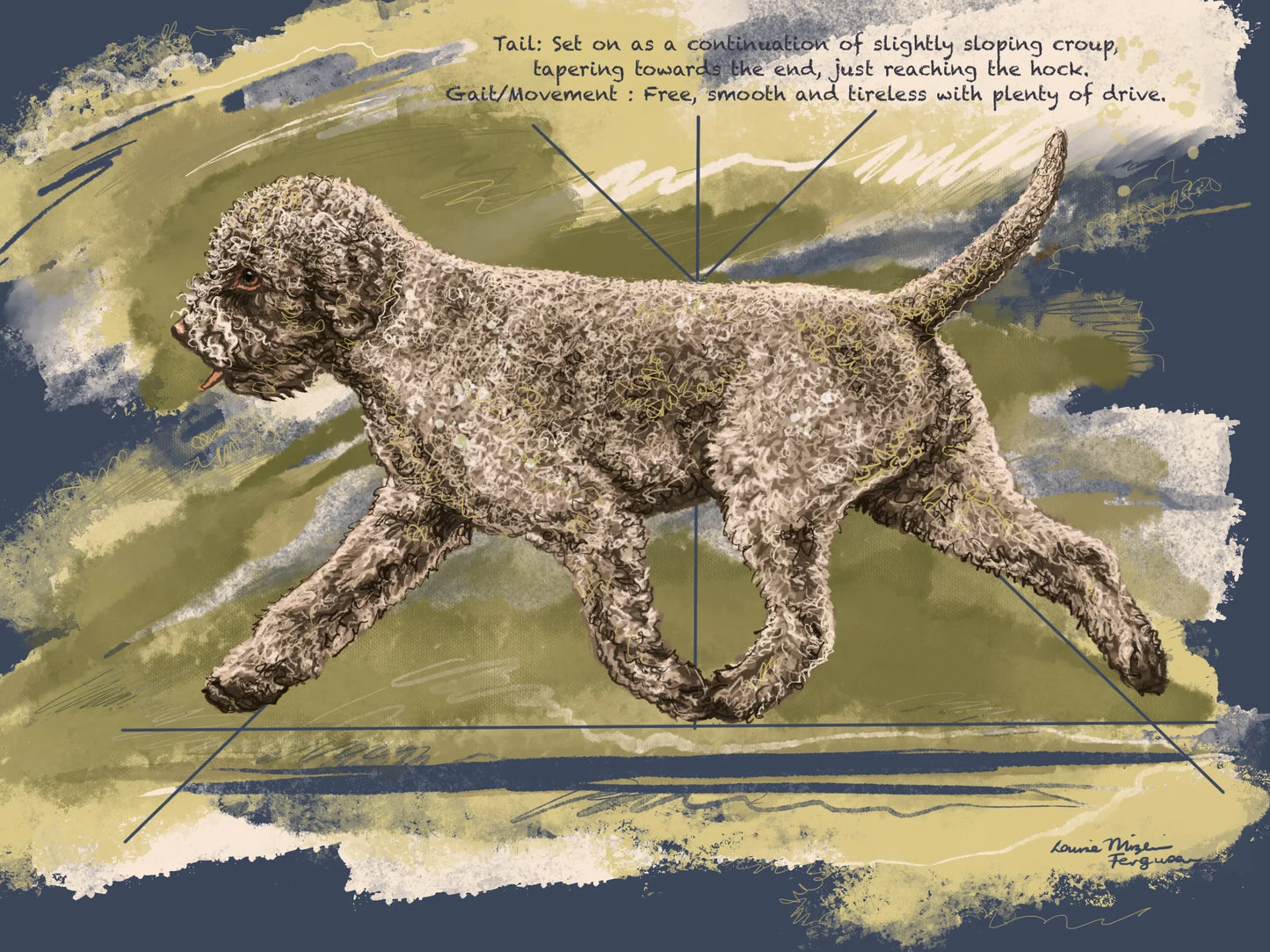 Lagotto breed standard "Gait"