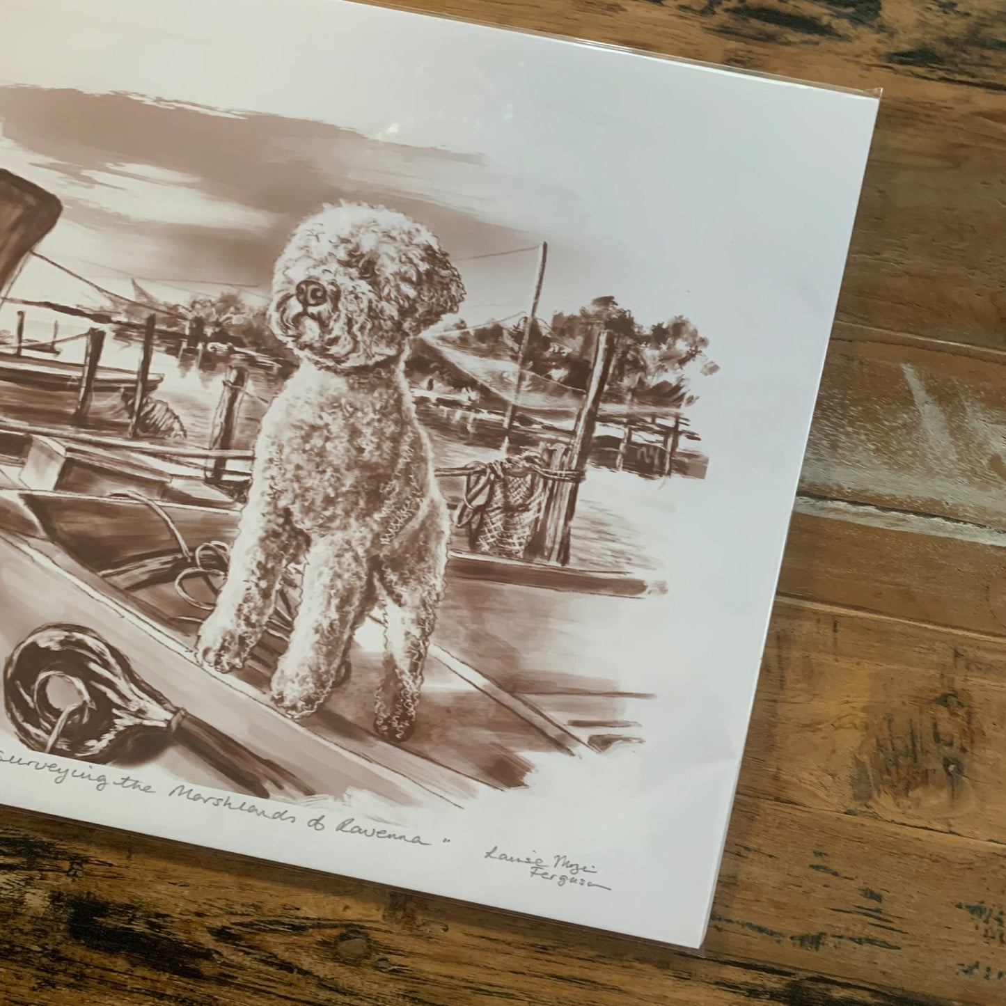 "Lagotto in Ravenna"