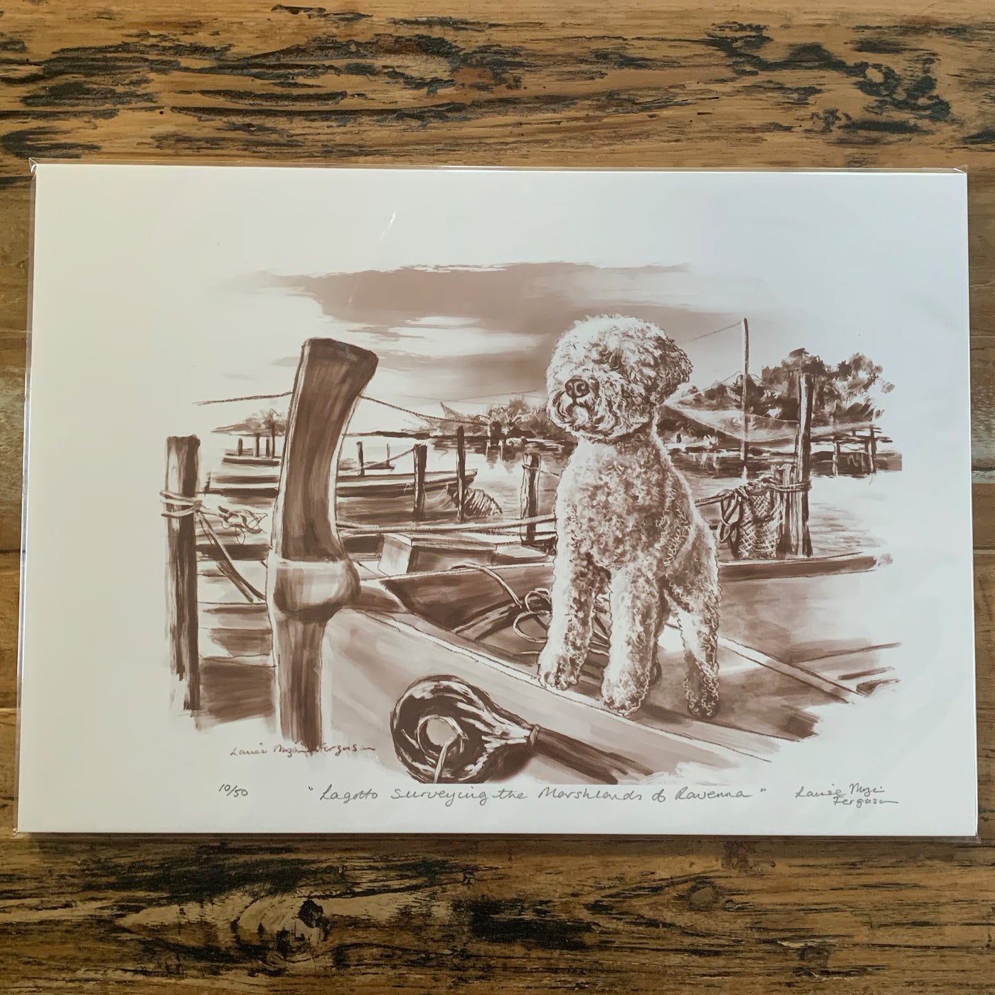 "Lagotto in Ravenna"