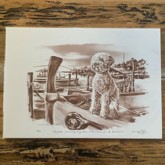 "Lagotto in Ravenna"