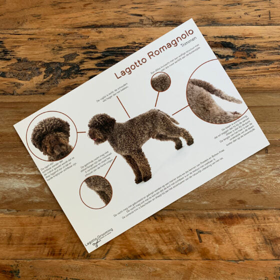 Lagotto trimkaart